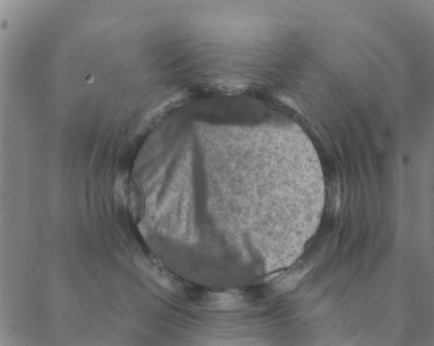 X0000088400286200706191405