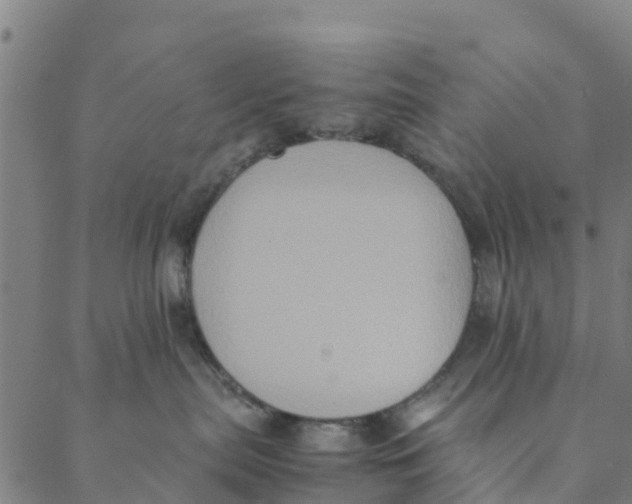 X0000088400287200706191405