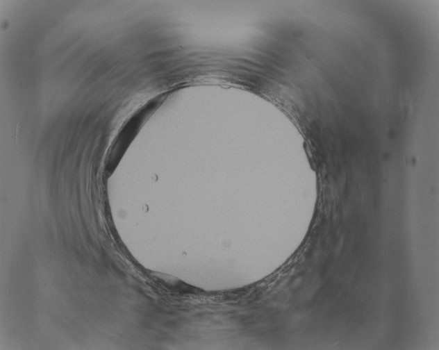 X0000088400289200706191404