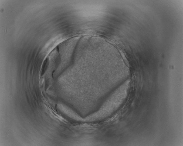 X0000088400290200706191404