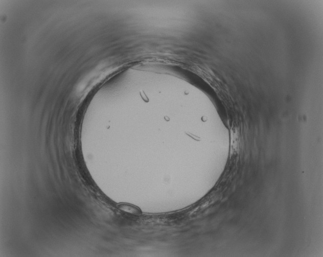 X0000088400291200706191404