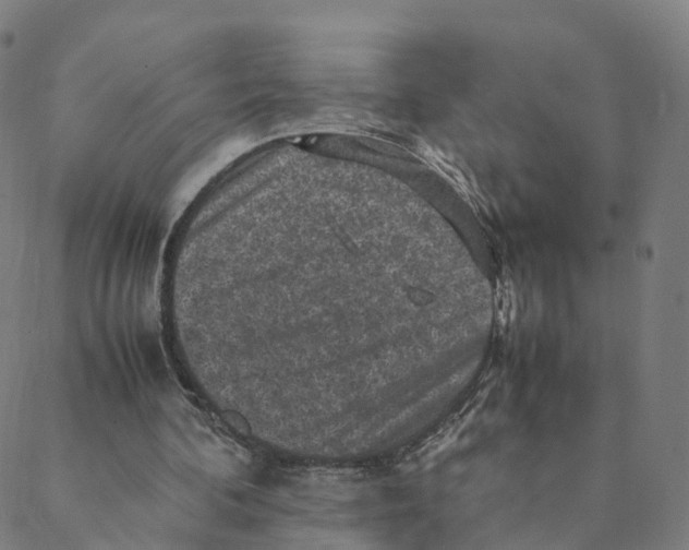 X0000088400292200706191404