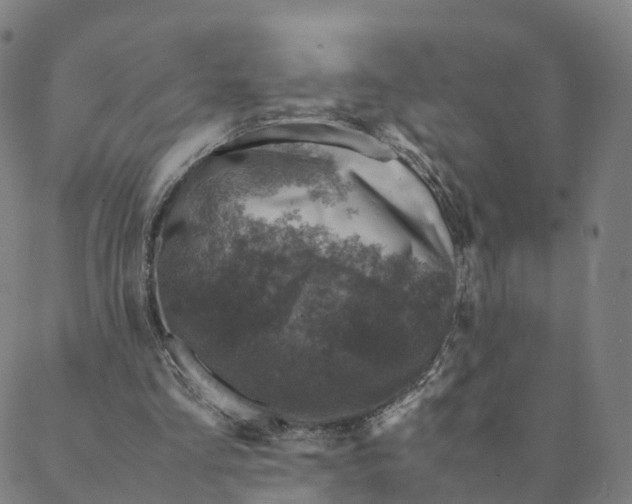 X0000088400293200706191404