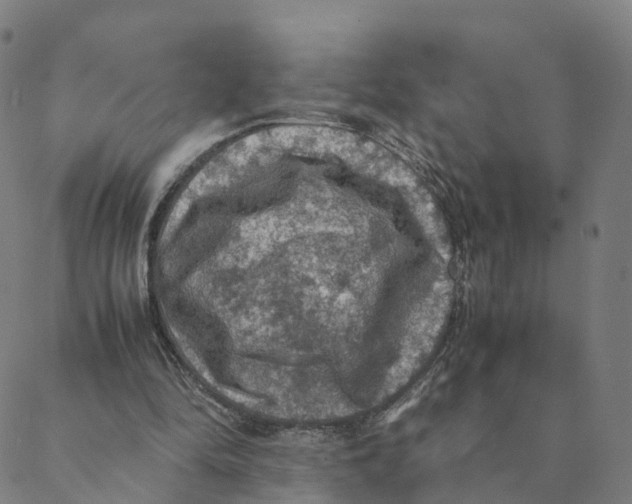 X0000088400294200706191404