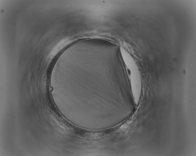 X0000088400295200706191404