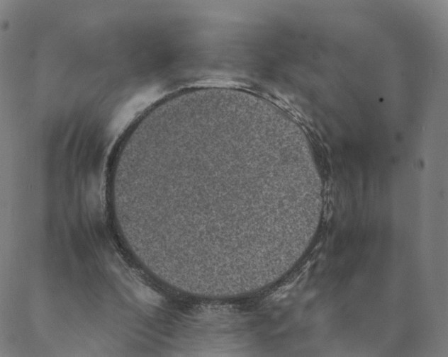 X0000088400296200706191404