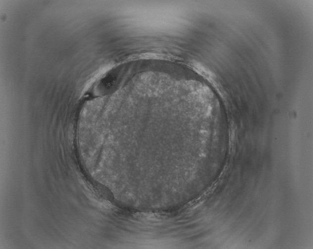 X0000088400297200706191404