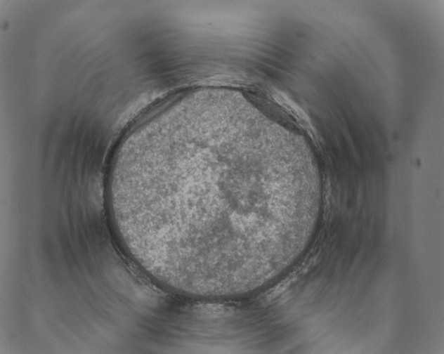 X0000088400298200706191404