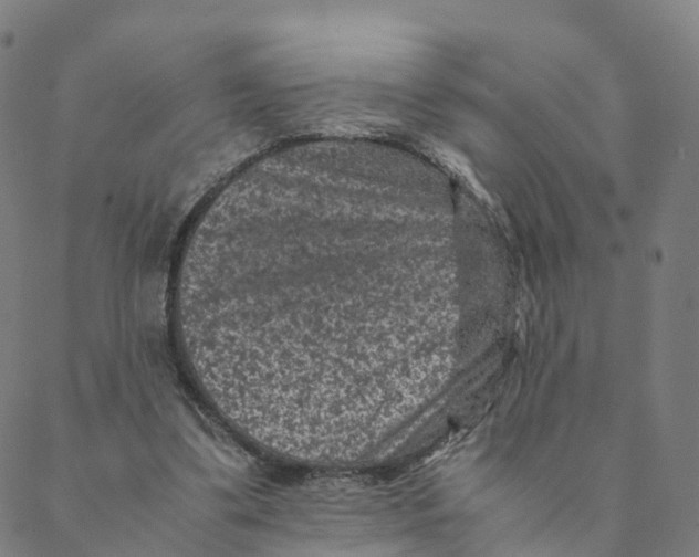 X0000088400299200706191404