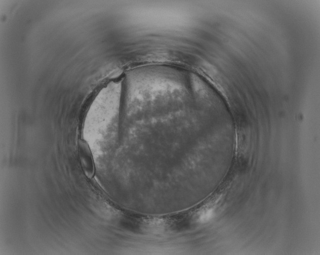 X0000088400301200706191404