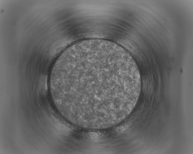 X0000088400302200706191404