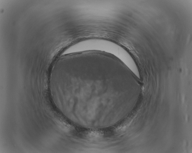 X0000088400303200706191404