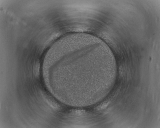 X0000088400304200706191404