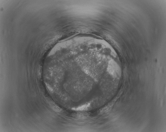 X0000088400305200706191404