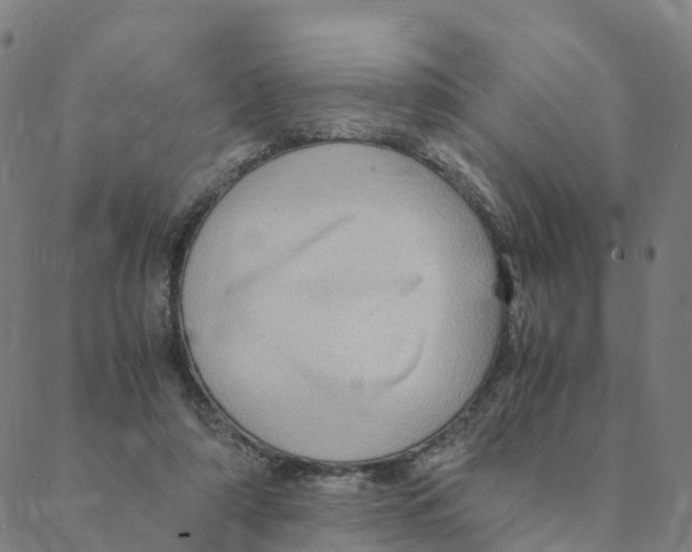 X0000088400306200706191404