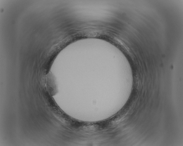 X0000088400307200706191404