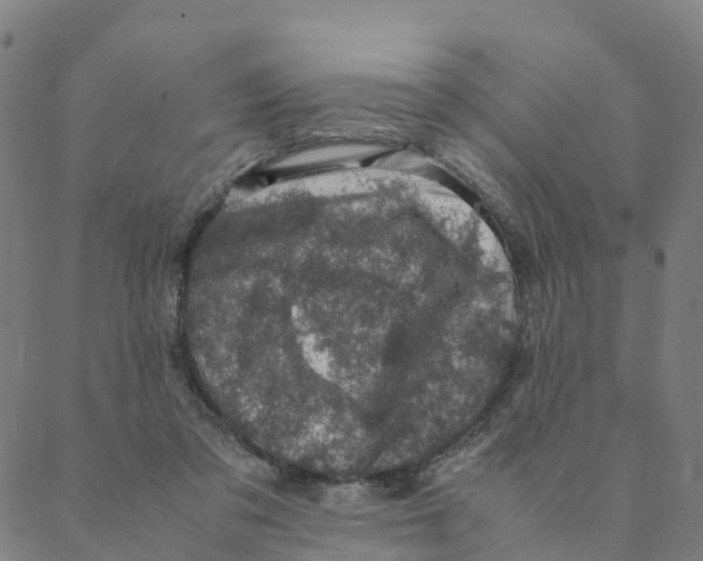 X0000088400309200706191404