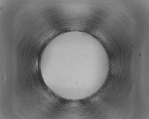 X0000088400310200706191404