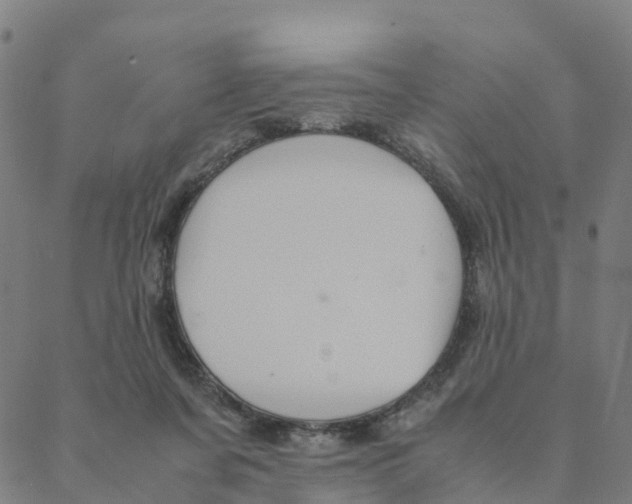 X0000088400311200706191404