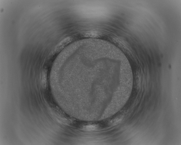 X0000088400312200706191404