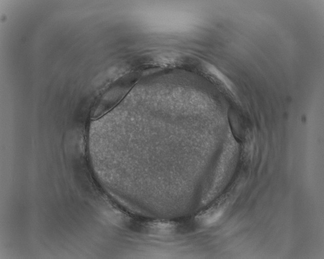 X0000088400313200706191404