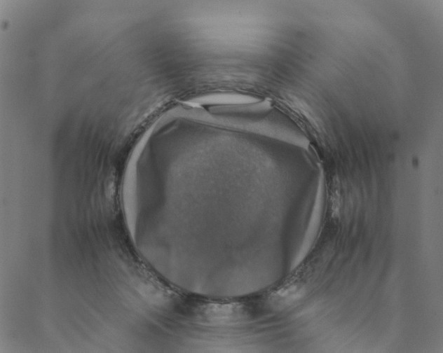 X0000088400314200706191404