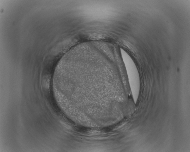 X0000088400315200706191404