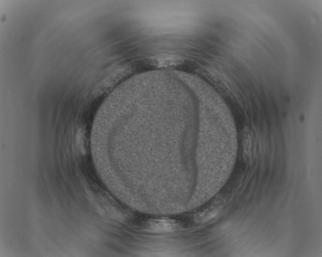 X0000088400316200706191404