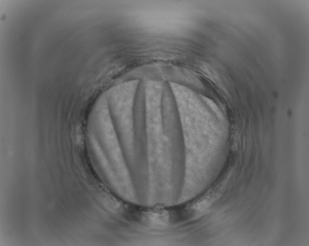 X0000088400317200706191404