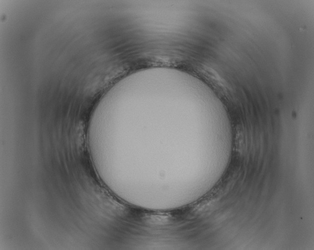 X0000088400318200706191404