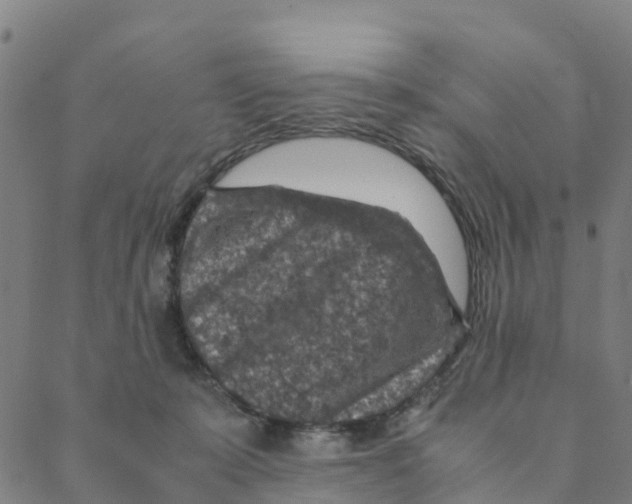 X0000088400319200706191404