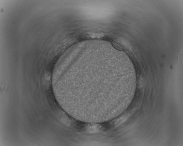 X0000088400321200706191404