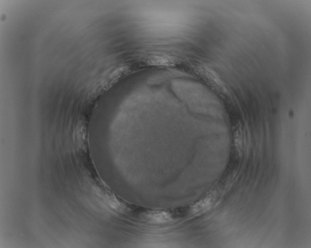 X0000088400322200706191404