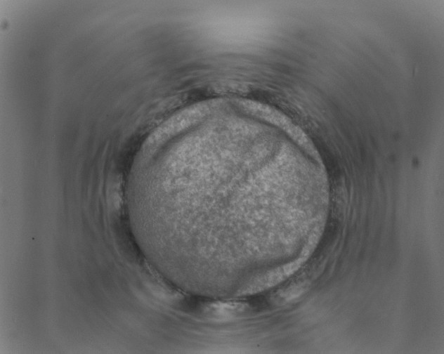 X0000088400323200706191404