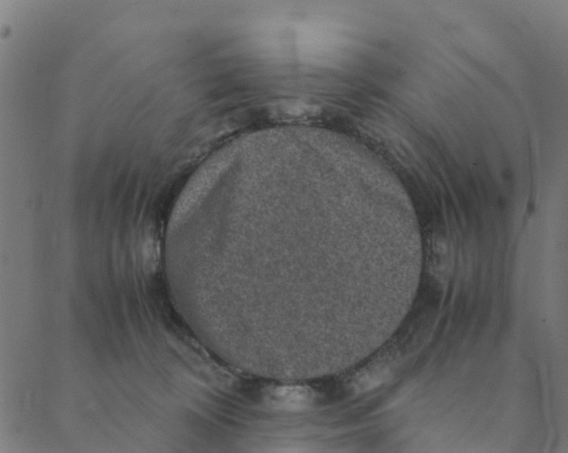 X0000088400324200706191404