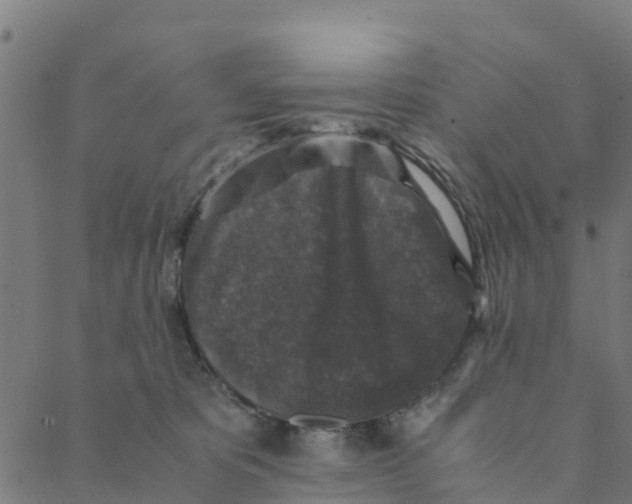 X0000088400325200706191404