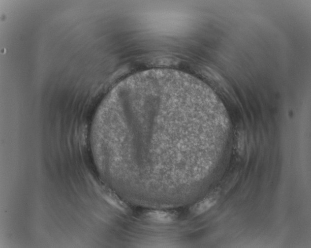 X0000088400326200706191404