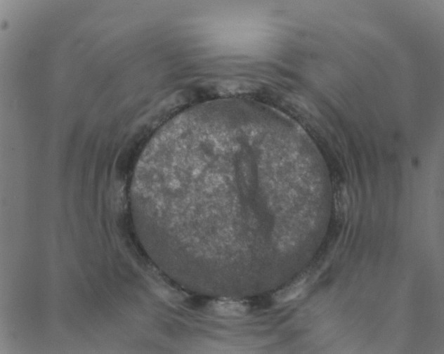 X0000088400327200706191404