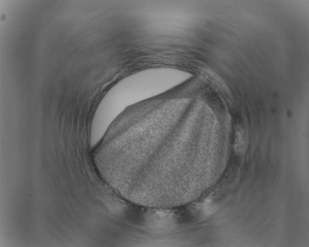 X0000088400329200706191404