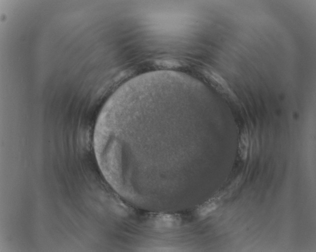 X0000088400330200706191404