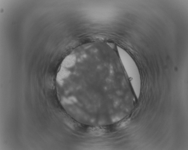 X0000088400331200706191404