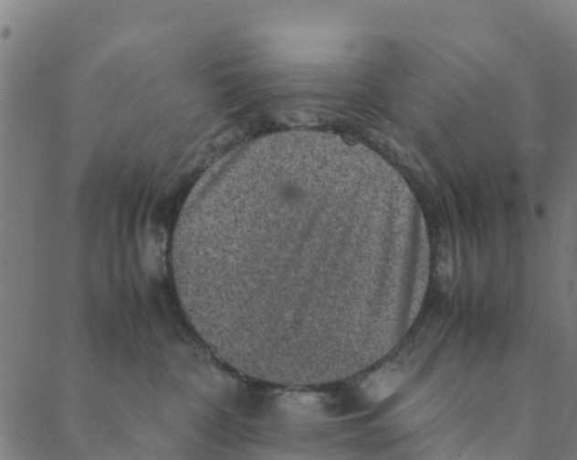 X0000088400332200706191404