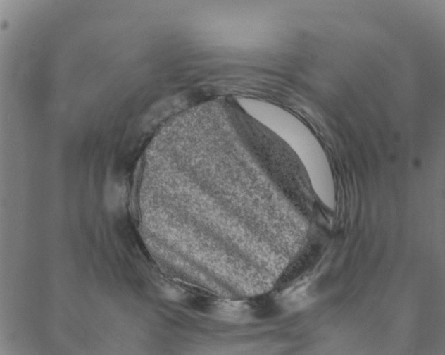 X0000088400333200706191404