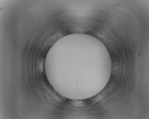 X0000088400334200706191404