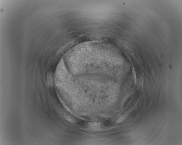 X0000088400335200706191404