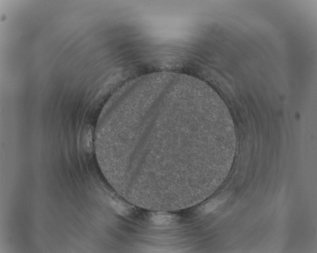 X0000088400336200706191404