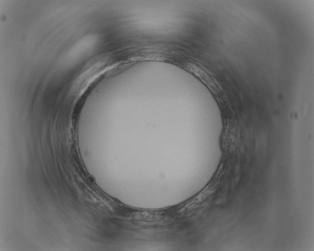 X0000088400338200706191403