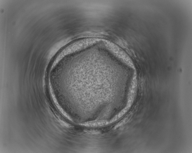 X0000088400340200706191403