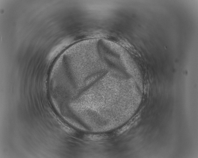 X0000088400341200706191403