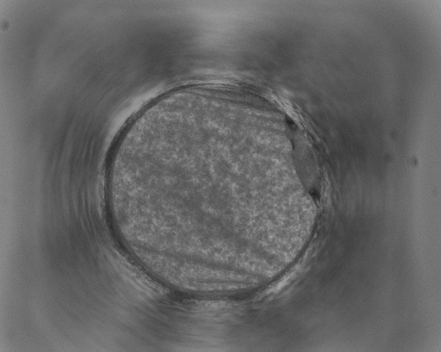 X0000088400342200706191403